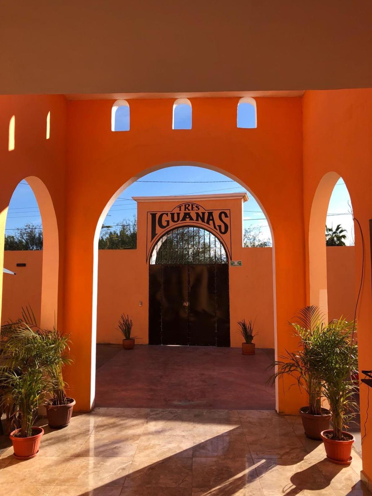 Tres Iguanas Apart Hotel - New, Cozy & Spacious Flats, Short Walk To Beach Loreto  Exterior foto